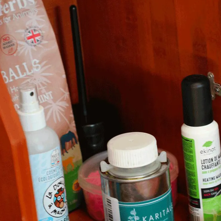 Best Hippotonic - Pinceau pour sabot avec pot