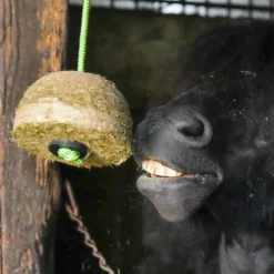 Discount Hippotonic - Recharge bloc de foin pomme