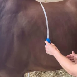 Hippotonic - Ruban de mesure zoométrique Hot