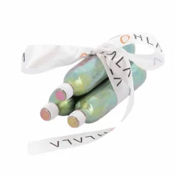 Hit Air - Lot de 3 Cartouches 48 cc/ 50 cc/ 60 cc Argent Sale