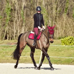 Horse Pilot - Pantalon d'équitation femme X-Design Bordeaux Outlet