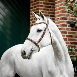 Hot Horseware - Bridon Cavesson Marron