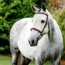 Horseware - Bridon Cavesson Hunter avec rênes dark tan Marron Online