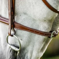 Horseware - Bridon Cavesson Hunter avec rênes dark tan Marron Online