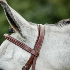 Horseware - Bridon Cavesson Hunter avec rênes dark tan Marron Online