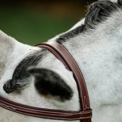 Horseware - Bridon Cavesson Hunter avec rênes dark tan Marron Online