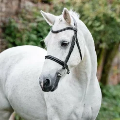 Horseware - Bridon Cavesson Pony Noir Clearance