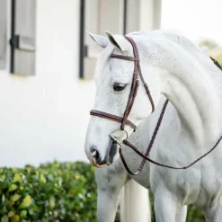 Horseware - Bridon Cavesson Hunter Pony avec rênes dark tan Marron Outlet