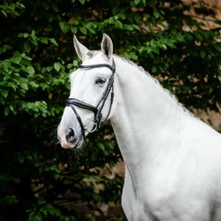 Hot Horseware - Bridon Dressage Flash Noir