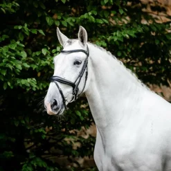 Hot Horseware - Bridon Dressage Flash Noir