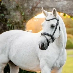 Horseware - Bridon Dressage Pony Flash Noir Outlet