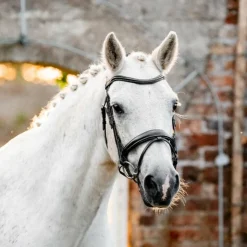 Horseware - Bridon Dressage Pony Flash Noir Outlet