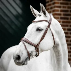 Horseware - Bridon Dressage Flash Marron Outlet