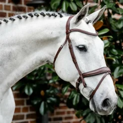 Horseware - Bridon Dressage Flash Marron Outlet
