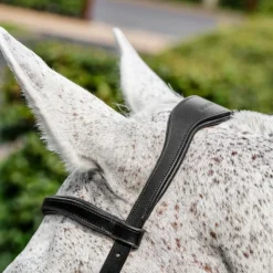 Horseware - Bridon Micklem Competiton Noir Online
