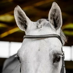 Horseware - Bridon Micklem Diamante Competition Noir Online