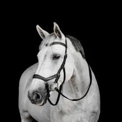 Horseware - Bridon Micklem Deluxe Competition Noir