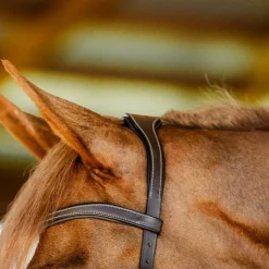 Clearance Horseware - Bridon Micklem Competition dark havane Marron