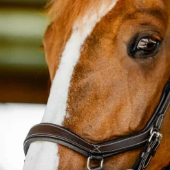 Clearance Horseware - Bridon Micklem Competition dark havane Marron