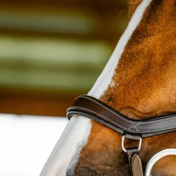 Clearance Horseware - Bridon Micklem Competition dark havane Marron