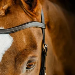 Clearance Horseware - Bridon Micklem Competition dark havane Marron