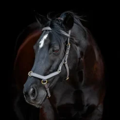Best Horseware - Bridon Rambo Micklem multibride Noir
