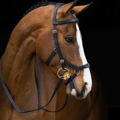 Best Horseware - Bridon Rambo Micklem multibride Noir