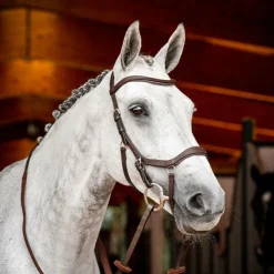 Horseware - Bridon Rambo Micklem 2 Competition Havane Sale