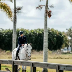 Online Horseware - Chemise anti-mouches de monte Amigo Flyrider argent/ titanium grey/ argent Gris