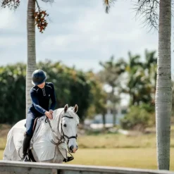 Online Horseware - Chemise anti-mouches de monte Amigo Flyrider argent/ titanium grey/ argent Gris