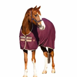Horseware - Chemise de box Amigo figue/ marine/ beige 0g Violet