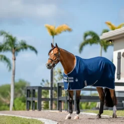 Horseware - Chemise de box Amigo / titanium grey/ argent 0g Marine New