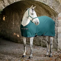 Discount Horseware - Chemise séchante Amigo Jersey Pony dynasty green/ marine/ argent Vert