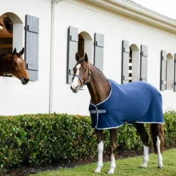 Horseware - Chemise séchante Amigo Jersey / titanium grey/ argent Marine Outlet