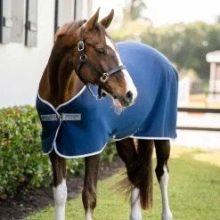 Clearance Horseware - Chemise séchante Amigo Jersey Pony / titanium grey/ argent Marine