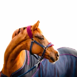 Horseware - Chemise séchante Rambo Sport Cooler / bordeaux Marine Online