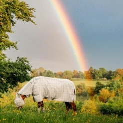 Horseware - Couverture anti-mouches Newmarket Plus witney charcoal Gris Hot