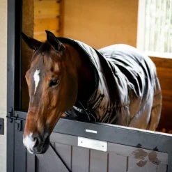 Horseware - Couverture de box Amigo Ripstop Insulator Plus Stable / argent 200g Noir New