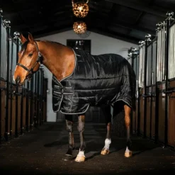 Hot Horseware - Couverture de box Easy-Layer Stable Plus / / silver 400g Noir