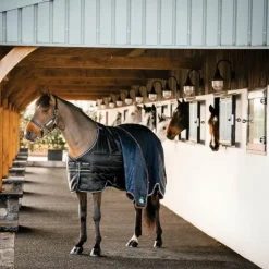 Outlet Horseware - Couverture de box Easy-Layer Stable et silver 100g Noir
