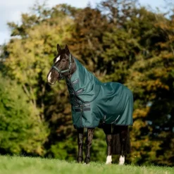 Discount Horseware - Couure d'extérieur Amigo Ripstop Plus Pony Turnout dynasty green/ marine/ argent 0g Vert