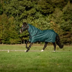 New Horseware - Couure d'extérieur Amigo Ripstop Plus Turnout dynasty green/ marine/ argent 0g Vert