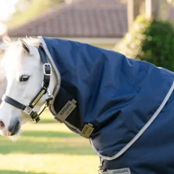 Clearance Horseware - Couverture d'extérieur Amigo Bravo Plus Pony Turnout / titanium grey/ argent 50g Marine