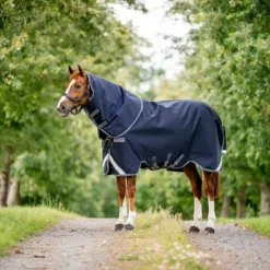 Online Horseware - Couverture d'extérieur Rambo Supreme Turnout Plus Lite / thunderstorm grey/ argent 0g Marine