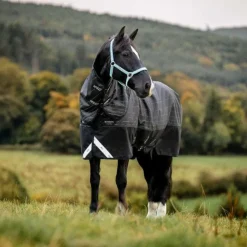 Clearance Horseware - Couverture d'extérieur Amigo FieldSafe Reflectech Plus Turnout 250g Noir