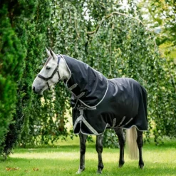 Online Horseware - Couverture d'extérieur Amigo Bravo Plus Turnout / titanium grey/ argent 100g Noir