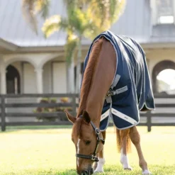 Outlet Horseware - Couverture d'extérieur Amigo Turnout / titanium grey/ argent 0g Marine
