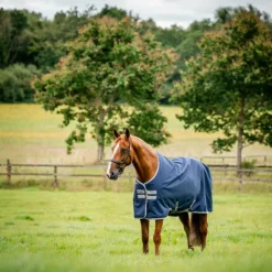 Discount Horseware - Couverture d'extérieur Amigo Ripstop 900 Original / titanium grey 50g Marine