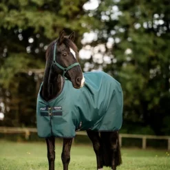 Best Horseware - Couure d'extérieur Amigo Ripstop Turnout dynasty green/ marine/ argent 100g Vert