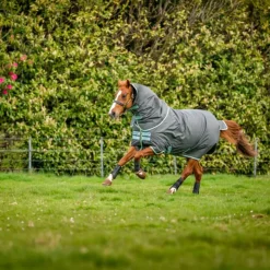 Horseware - Couverture d'extérieur Amigo Hero Ripstop Plus shadow/ blue haze/ marine 200g Gris Discount